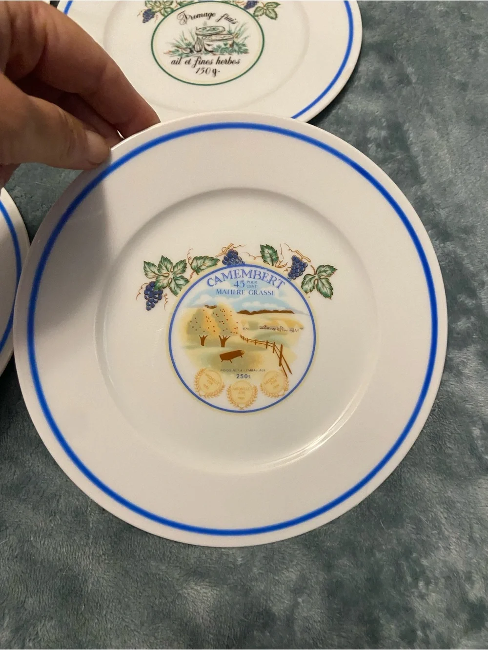 Set of 5 Ceramic Salad Plates with Blue Rim and Cheese Motifs